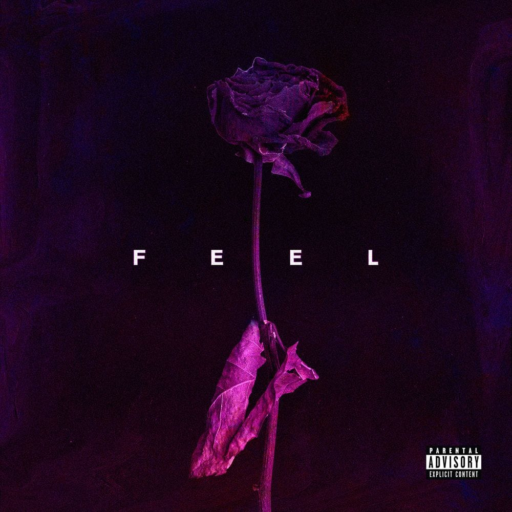 Feel cover