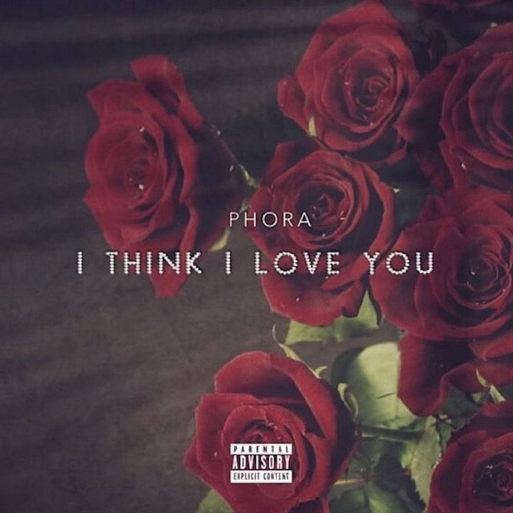 I Think I Love You cover