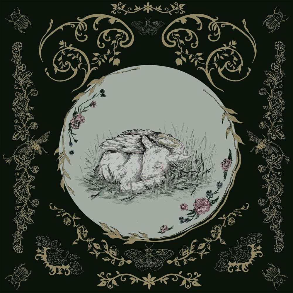 Wishing For Wounds cover