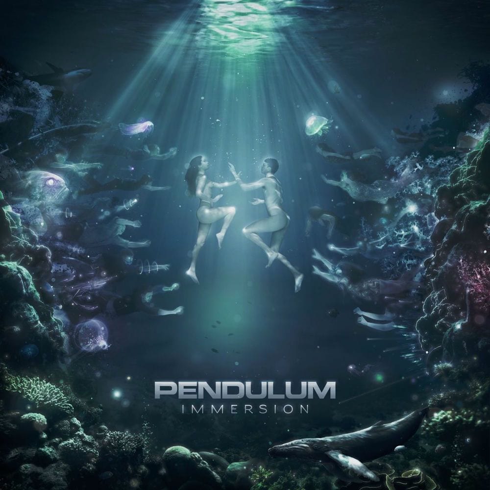 Immersion cover