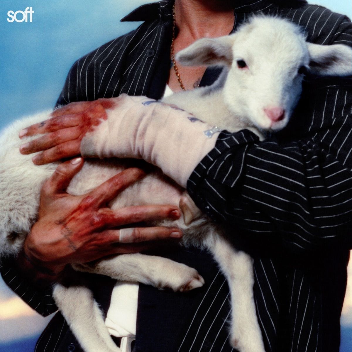 Soft cover