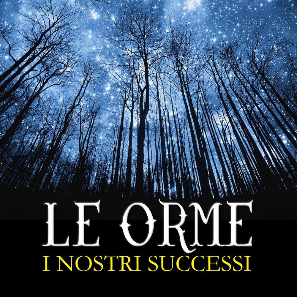I nostri successi (I nostri successi) cover