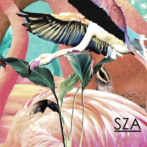 SZA cover