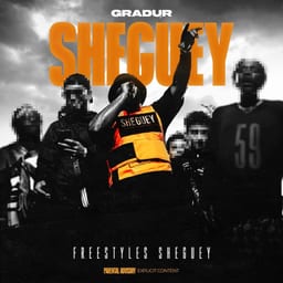 FREESTYLES SHEGUEY album cover