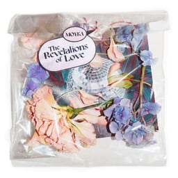 The Revelations of Love album cover