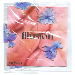 Illusion album cover