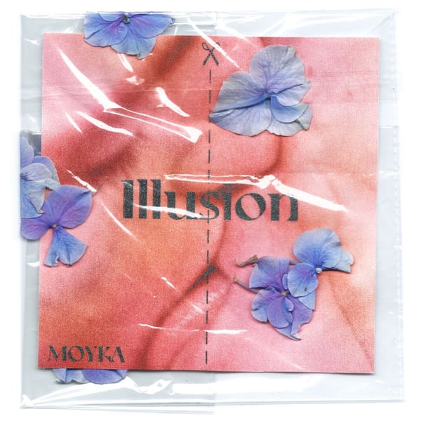Illusion album cover