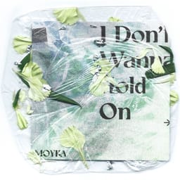 I Don't Wanna Hold On album cover