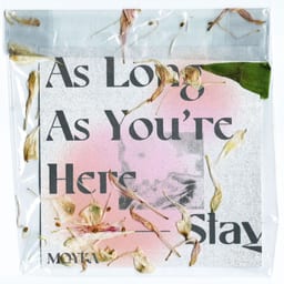 Stay album cover