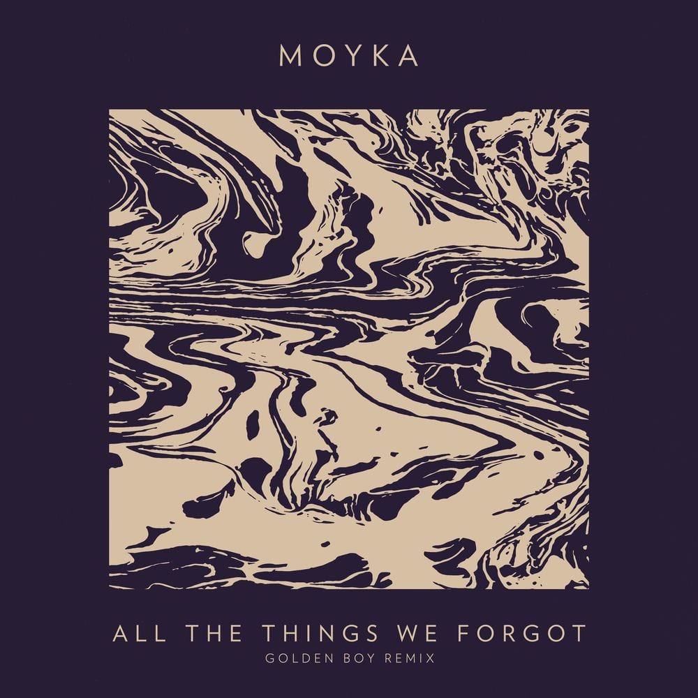 All The Things We Forgot (The Golden Boy Remix) cover