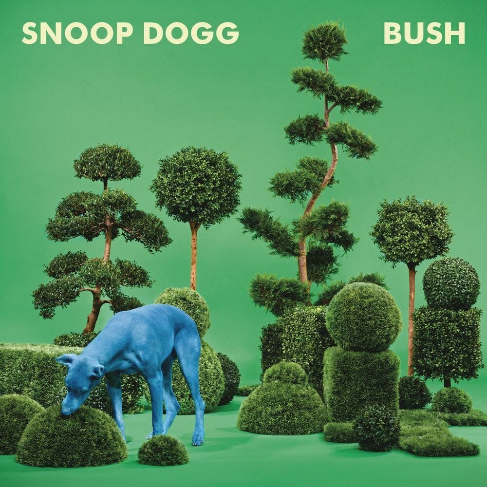 BUSH cover