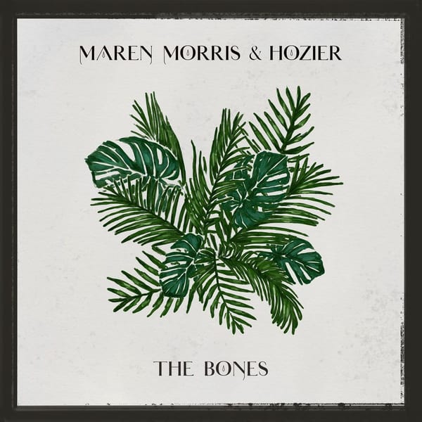 The Bones (with Hozier) cover