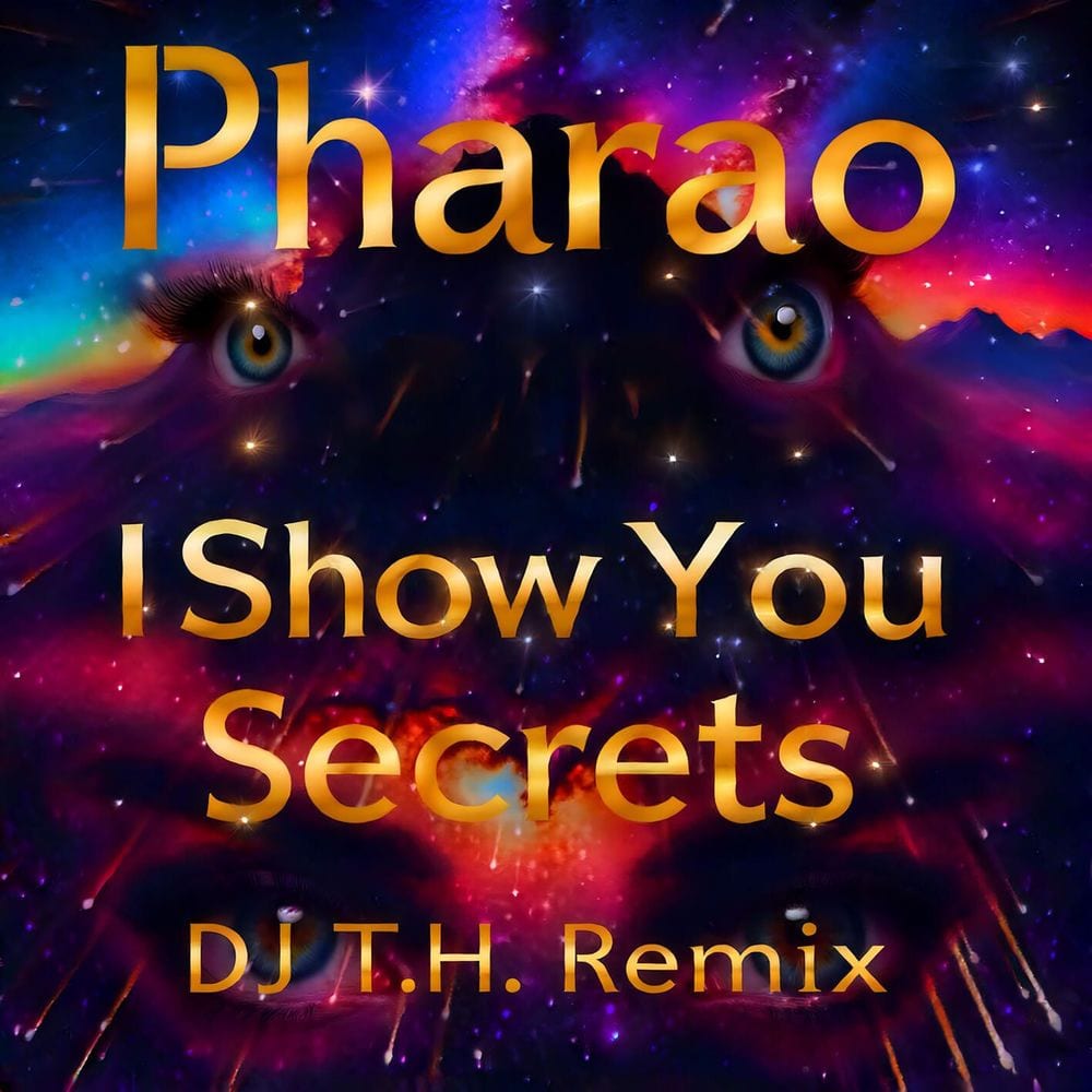 I Show You Secrets (DJ T.H. Remix) cover