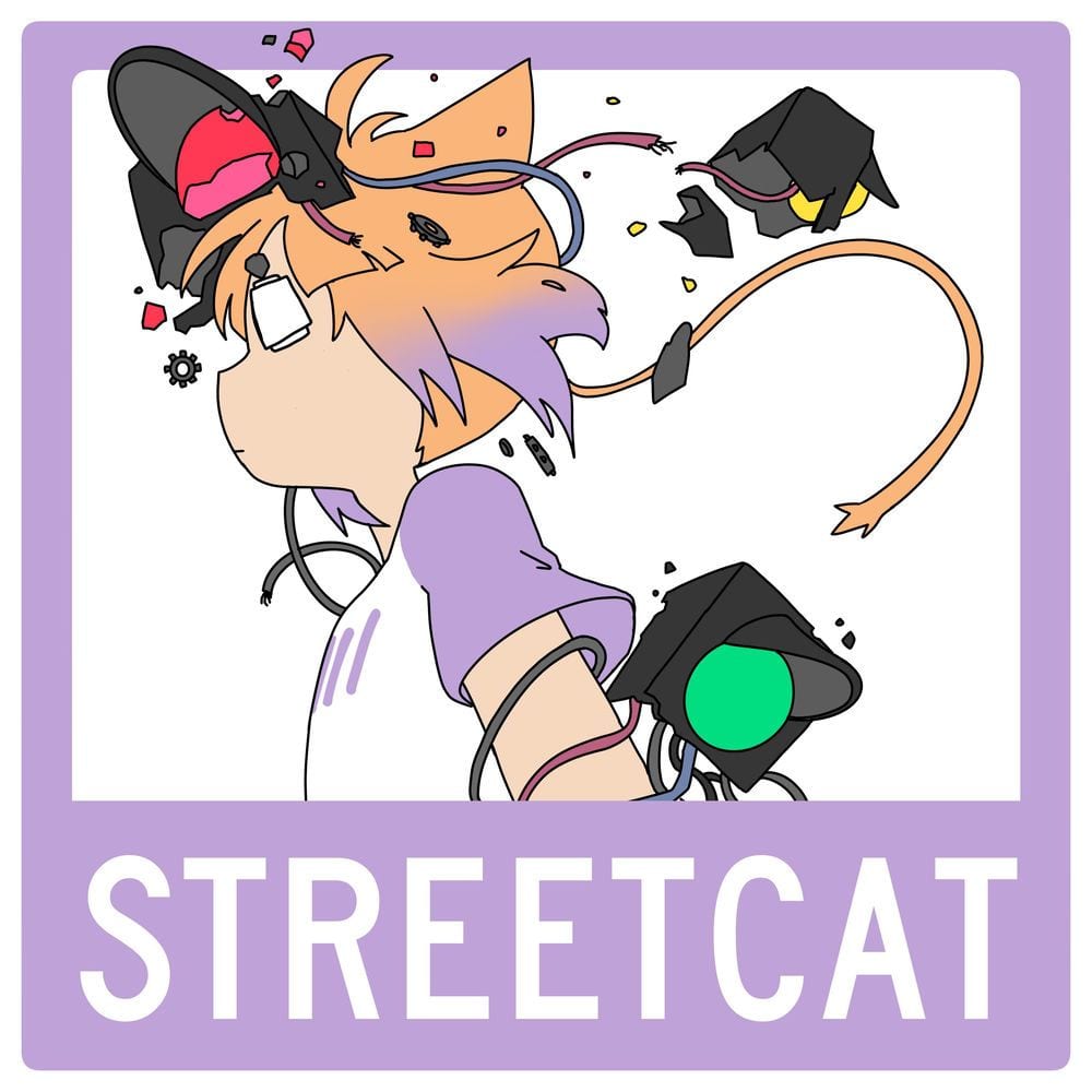streetcat cover