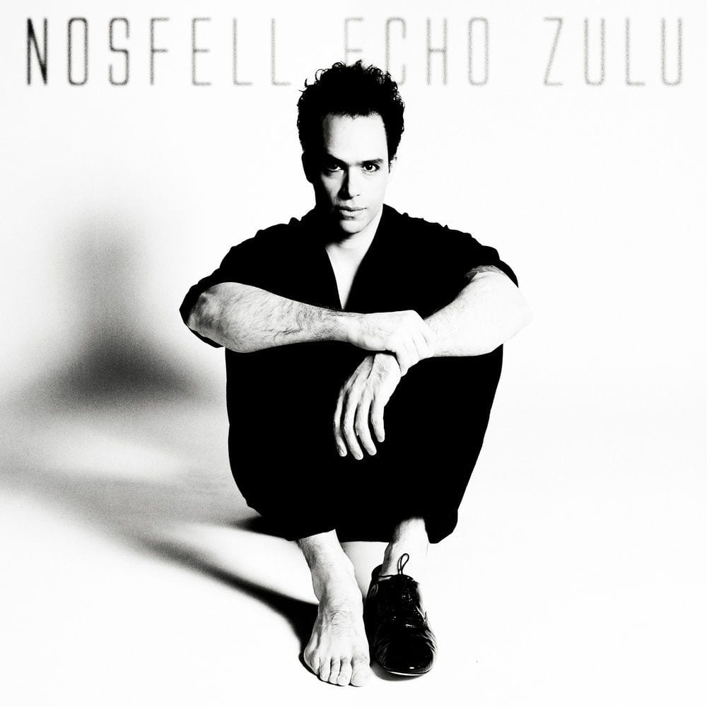 Echo Zulu cover