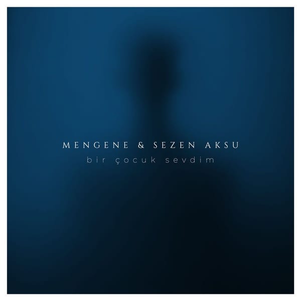 Bir Çocuk Sevdim cover