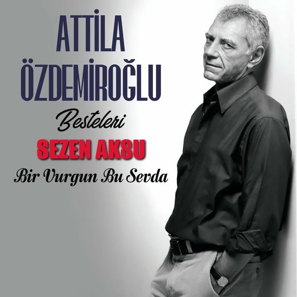 Bir Vurgun Bu Sevda cover
