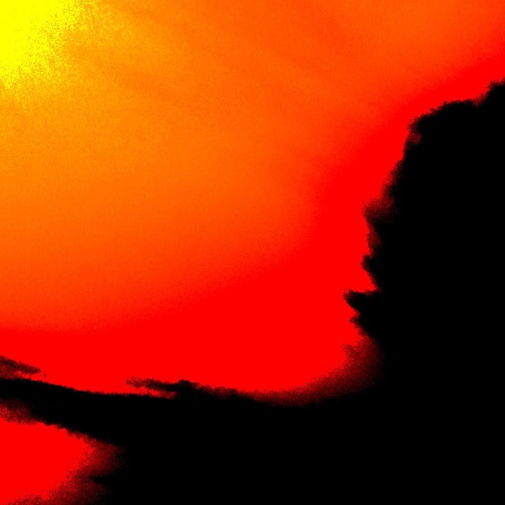 Lionne cover