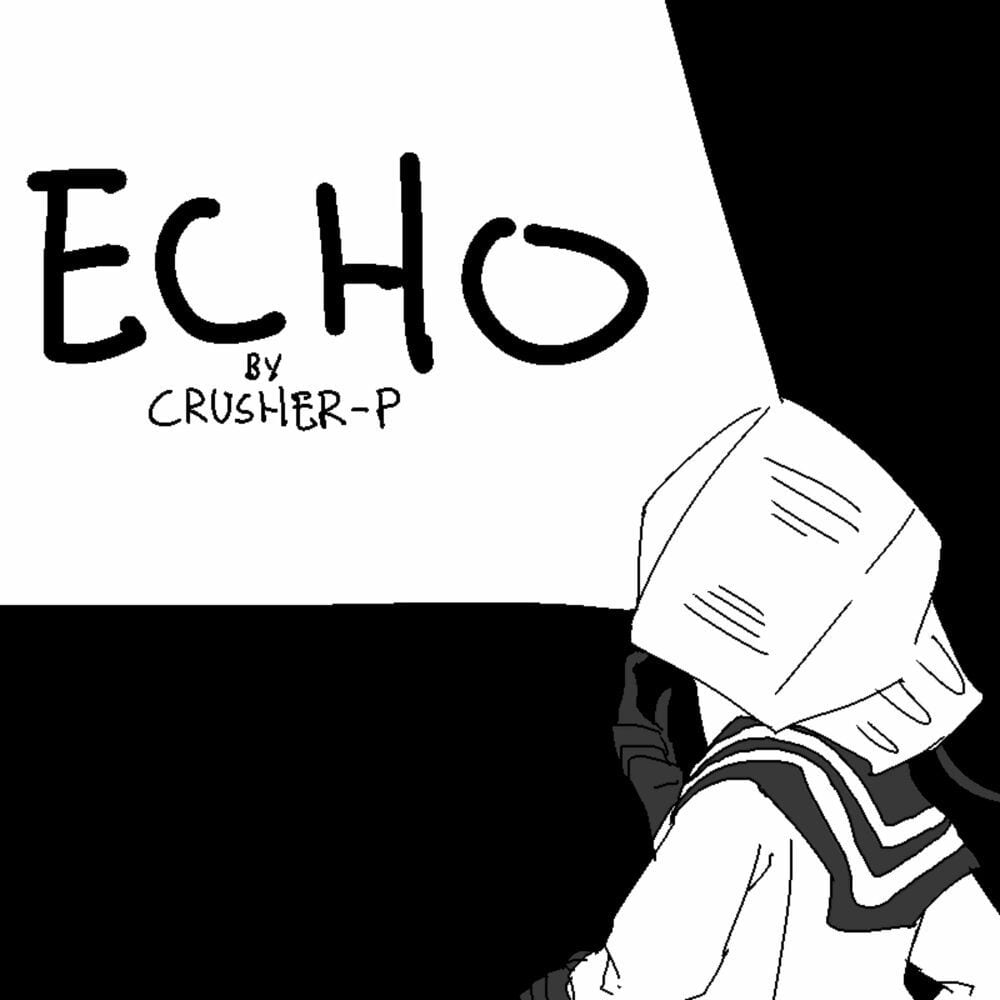 Echo cover
