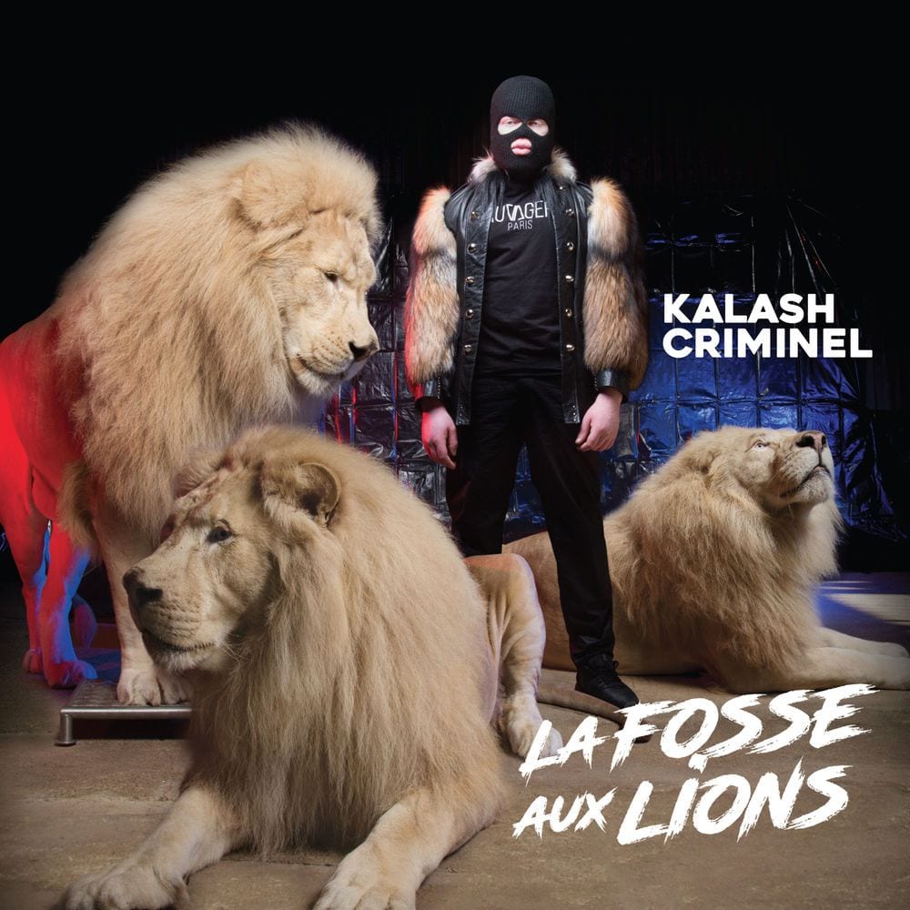La fosse aux lions cover