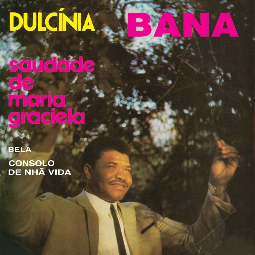 Dulcinia cover