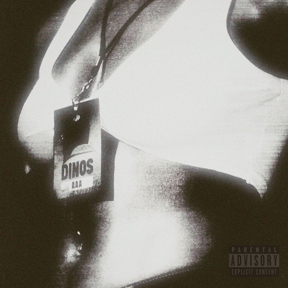 DMX cover
