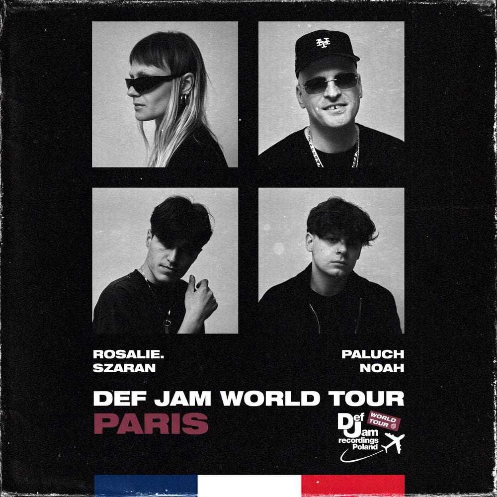 Def Jam World Tour: PARIS cover