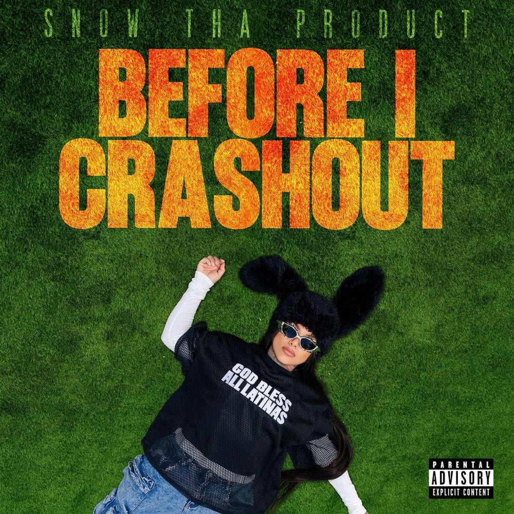 Before I Crashout cover