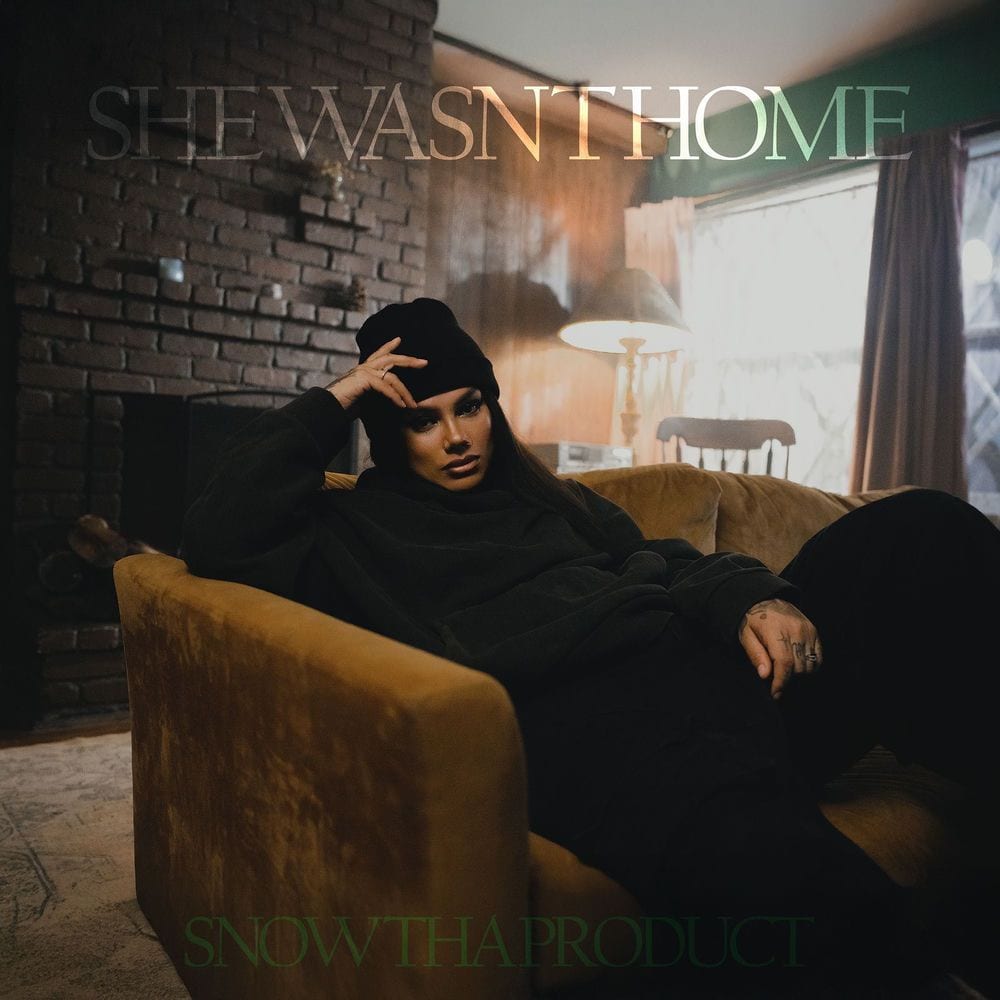 She Wasnt Home cover