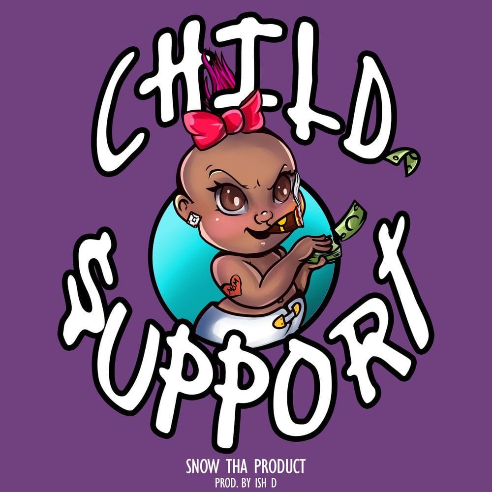 Child Support cover