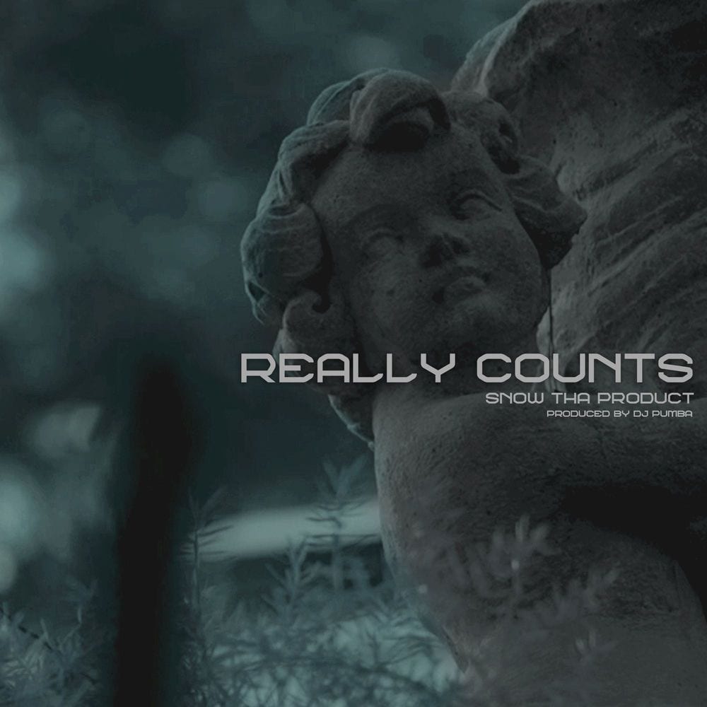 Really Counts cover