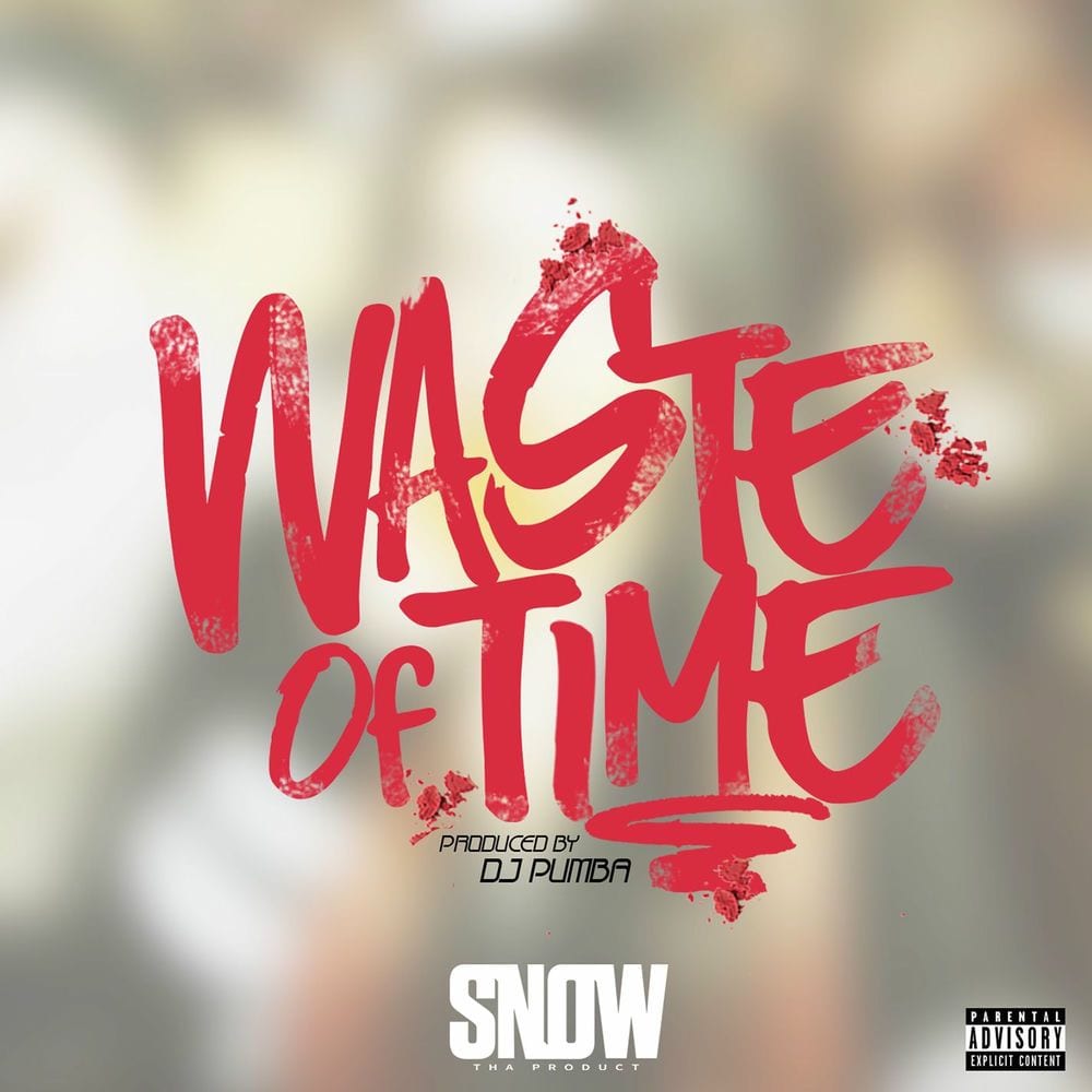 Waste of Time cover