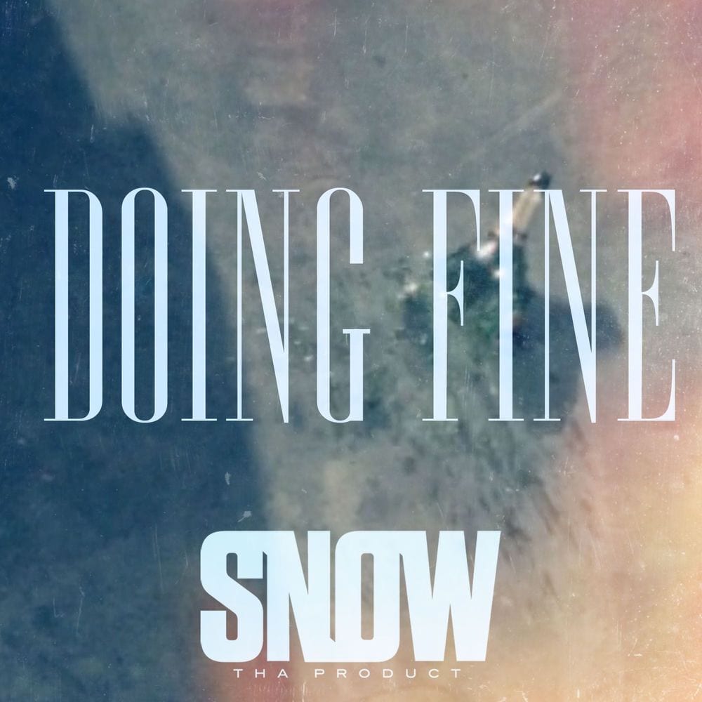 Doing Fine cover