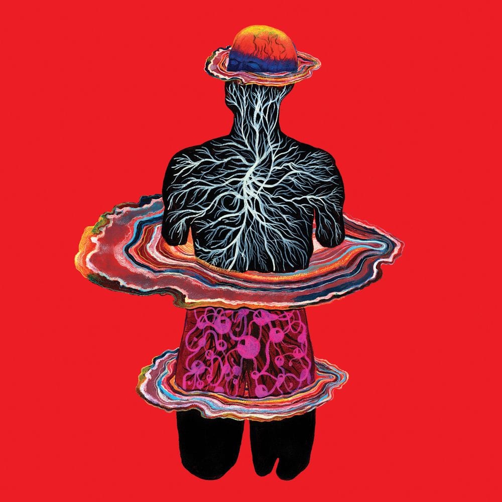Circadian cover