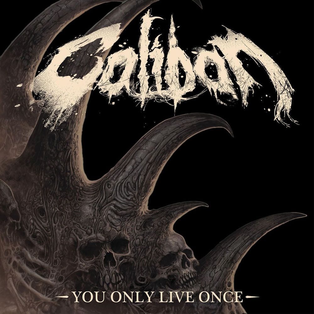 You Only Live Once cover