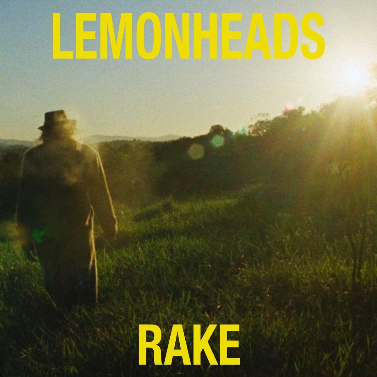 Rake (feat. Almir Sater) cover