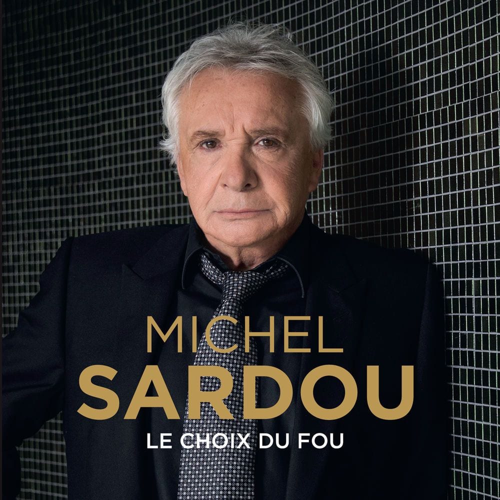 Le choix du fou cover