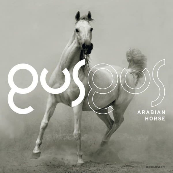 Arabian Horse cover