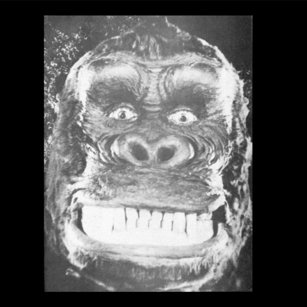 Konkankinkonkonklanakamlin cover