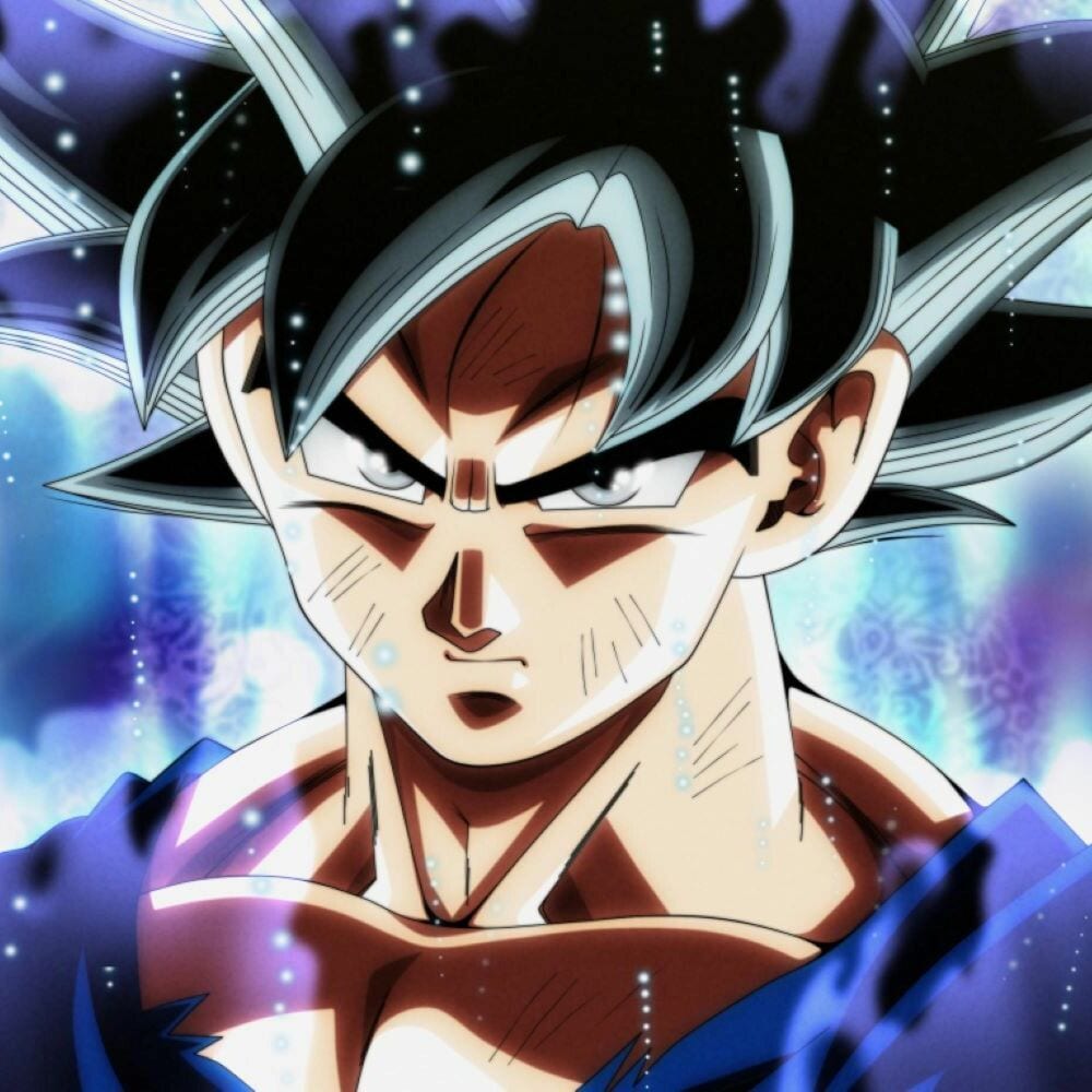 Son Goku cover