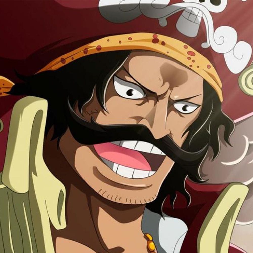 Roi des pirates cover