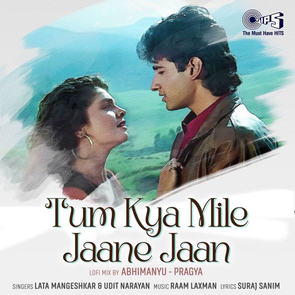 Tum Kya Mile Jaane Jaan (Lofi Mix) cover