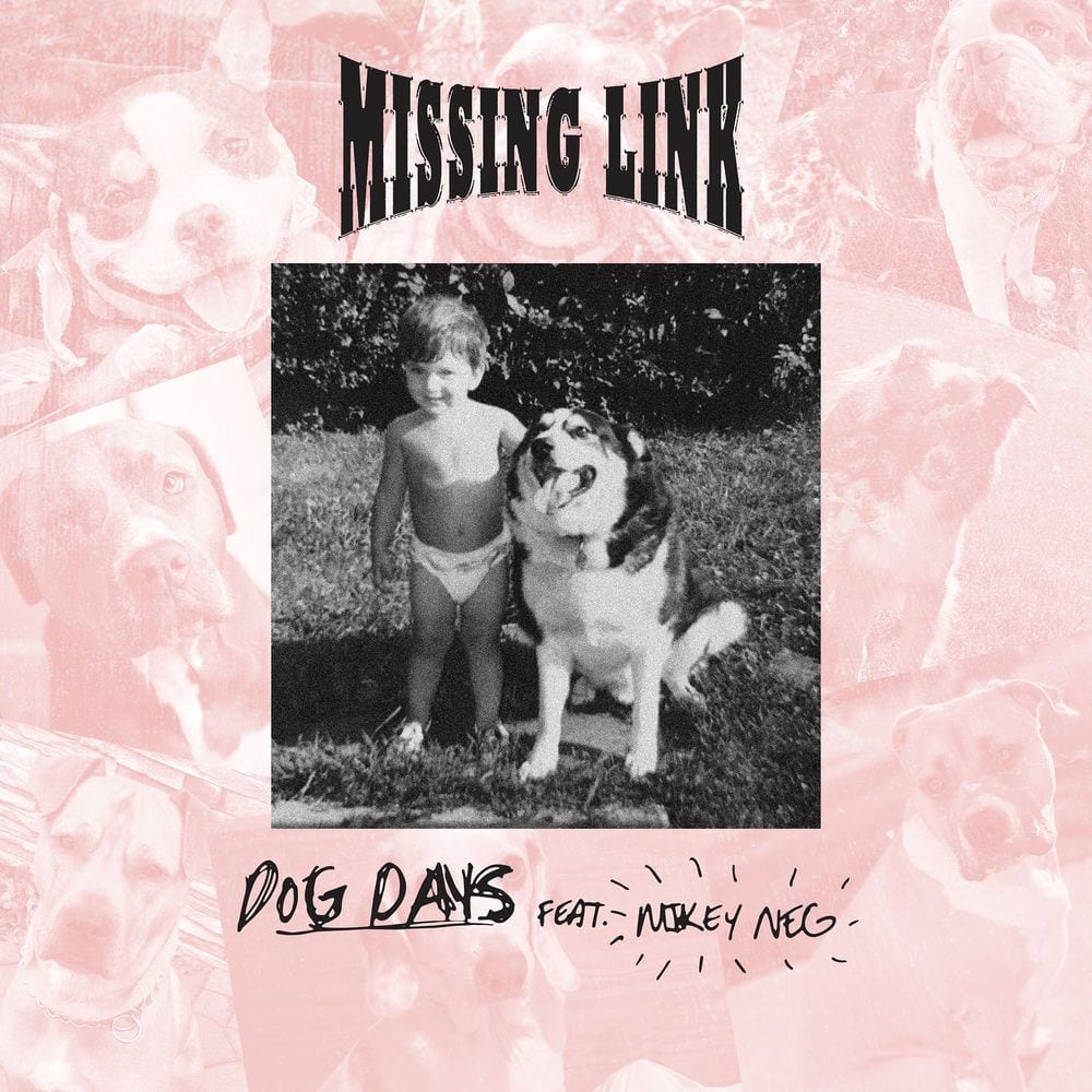 Dog Days cover