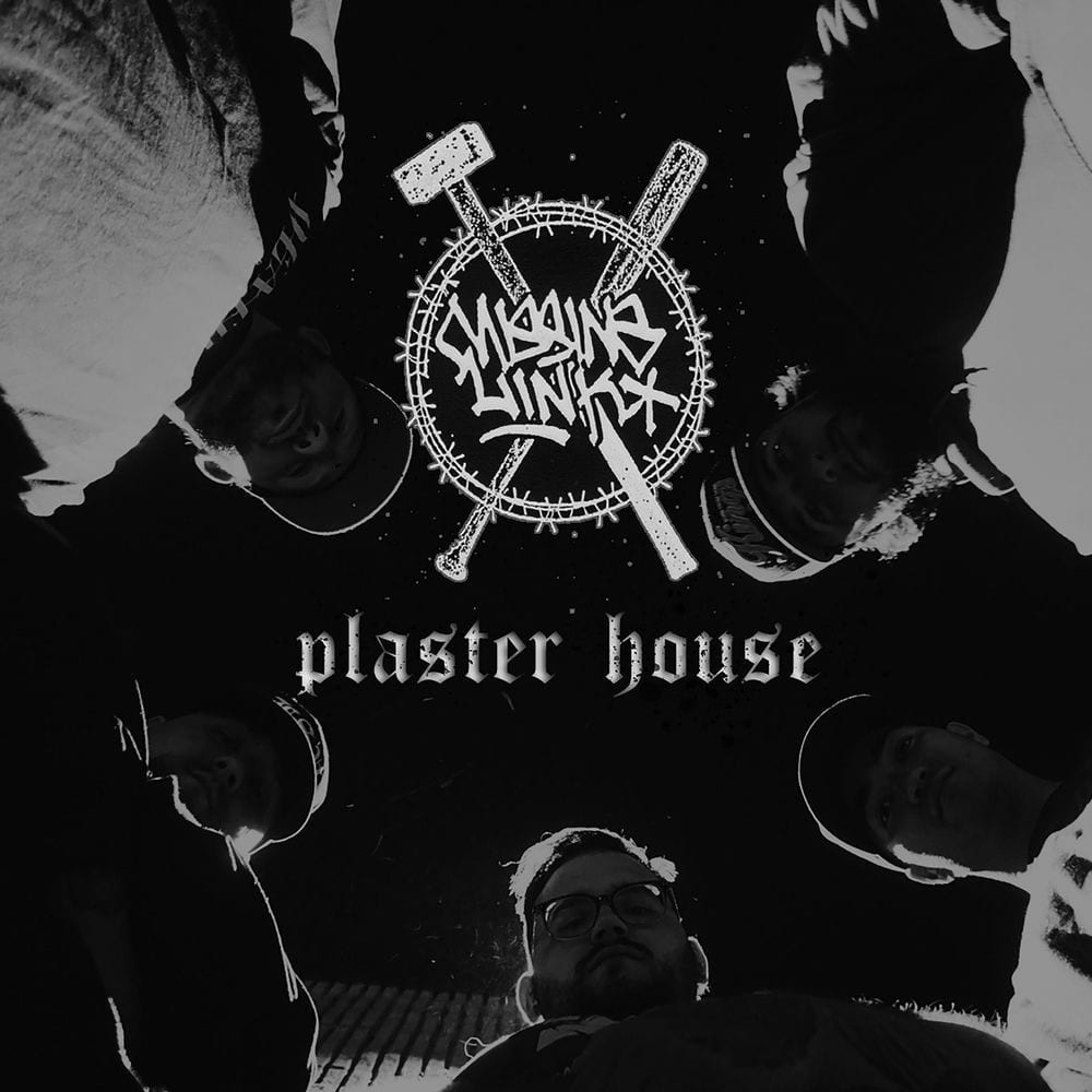 Plaster House cover