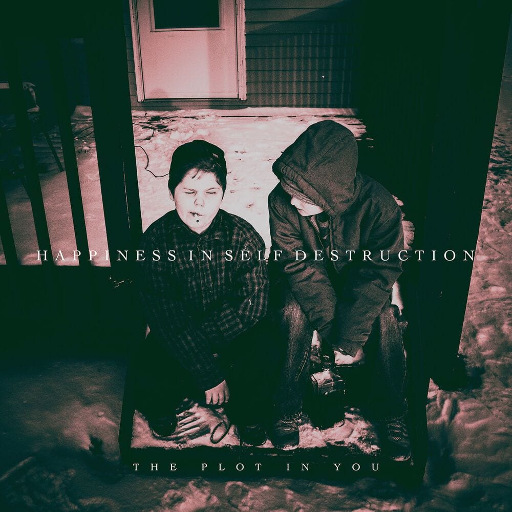 Happiness in Self Destruction cover