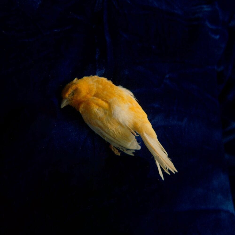 Left Behind cover