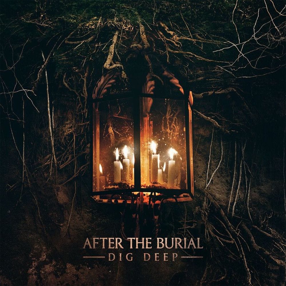 Dig Deep cover