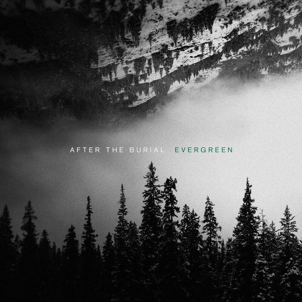 Evergreen cover