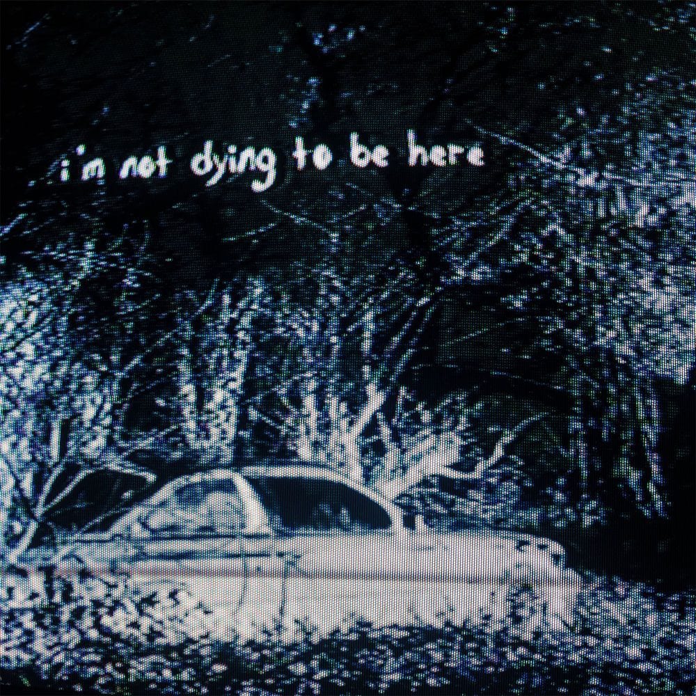 I'm Not Dying To Be Here cover