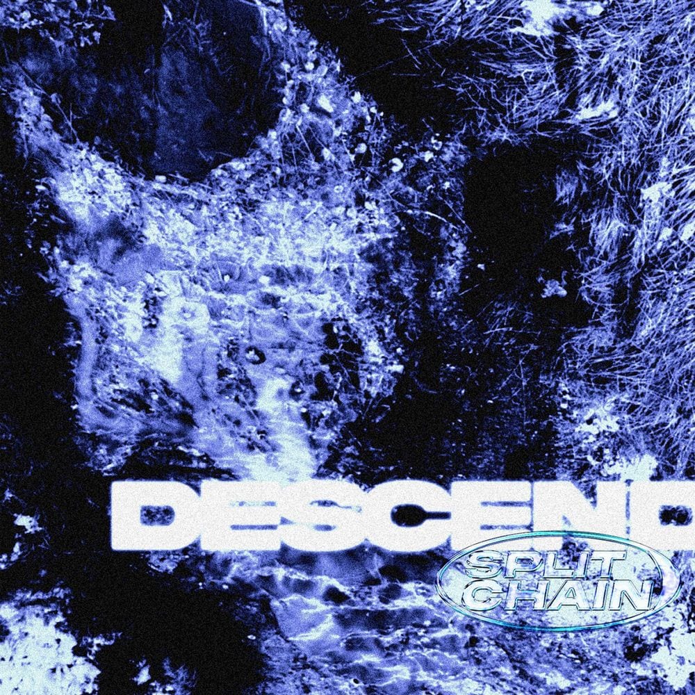 Descend cover